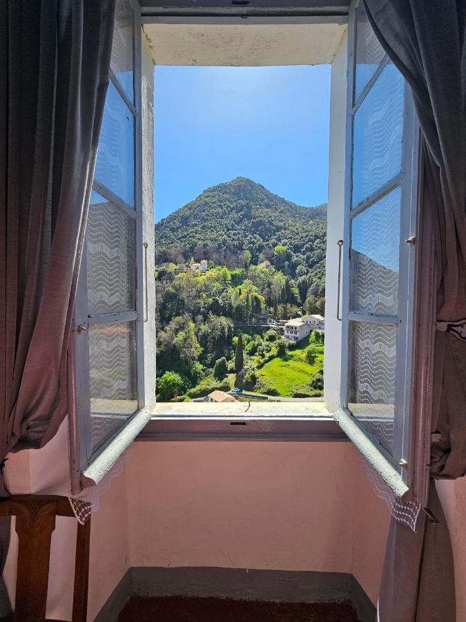 Palazzu Massoni, Magnifique Vue Sur La Mer Et La Montagne, Clim, Wifi, Parking Gratuit Cervione Esterno foto