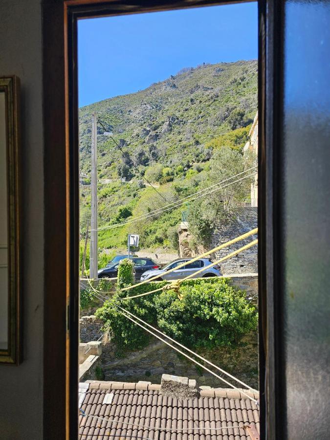 Palazzu Massoni, Magnifique Vue Sur La Mer Et La Montagne, Clim, Wifi, Parking Gratuit Cervione Esterno foto